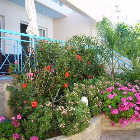 Blue Oasis Gardens * 레메소스
