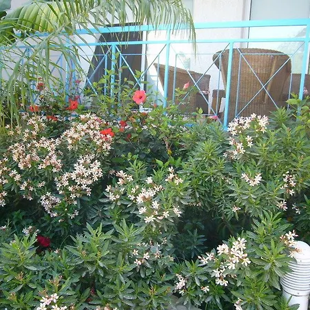 Blue Oasis Gardens