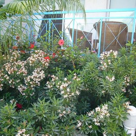 Blue Oasis Gardens